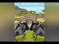 Mufasa Was Dead Simba Wildebeest Stampede