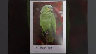 LEVELED BOOK AA GREEN   Made with Clipchamp