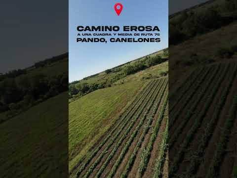 Video de YouTube - Campo de 5ha en venta en Pando, OPORTUNIDAD
