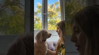 Download lagu he just gets me🧸 “conversations with my therapist” ep and music video out now! #newmusic #puppy mp3 Download lagu he just gets me🧸 “conversations with my therapist” ep and music video out now! #newmusic #puppy mp3
