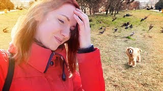 Донбасский словарь . Итоги зимы в Краснодаре.