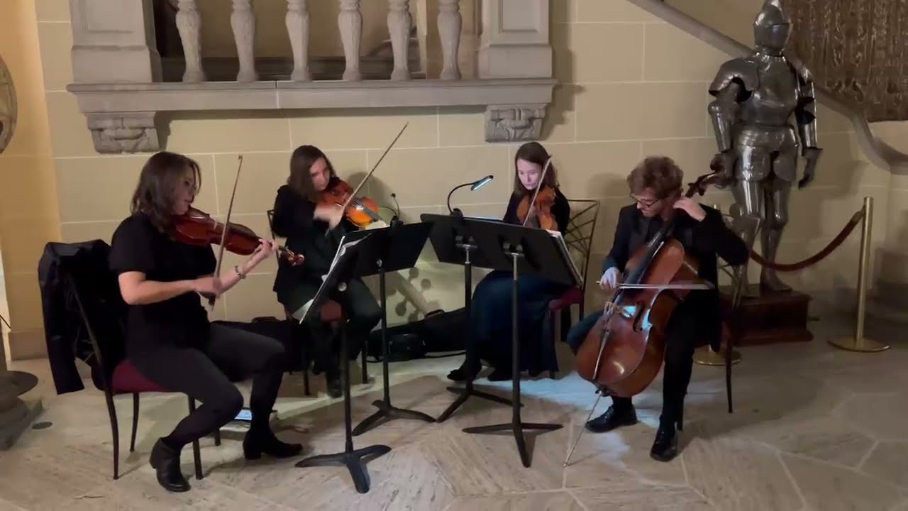 Promotional video thumbnail 1 for Parkwest Strings