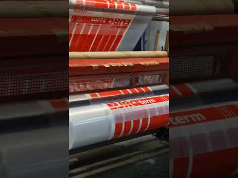 Filippini & Paganini 1600 P240906069