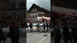 Bayrischzell - Aufstellen des Maibaumes - 28,5 m hoch - 2
