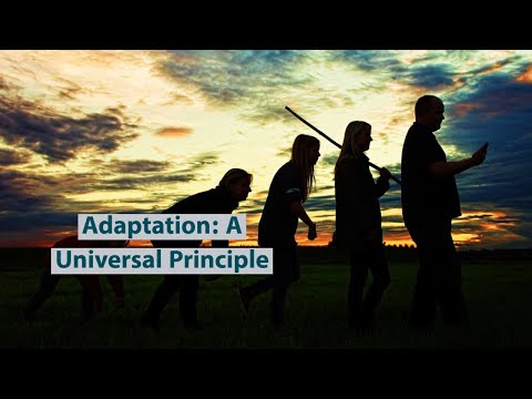 How Does Adaptation work: How do Humans Adapt to Their Environment