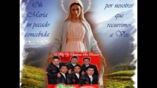 Madre de Guadalupe by Grupo Ironia de Morganton NC