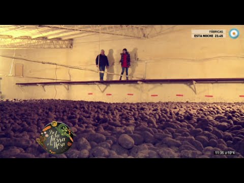 De la tierra a tu mesa, la papa