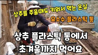 상추를 플라스틱 통에 온실처럼 키워 먹는 신박한 방법! #상추키워먹는방법 #상추심기 #상추농사 #상추재배 #…