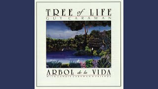 Ain't You Got a Right to the Tree of Life Music Video