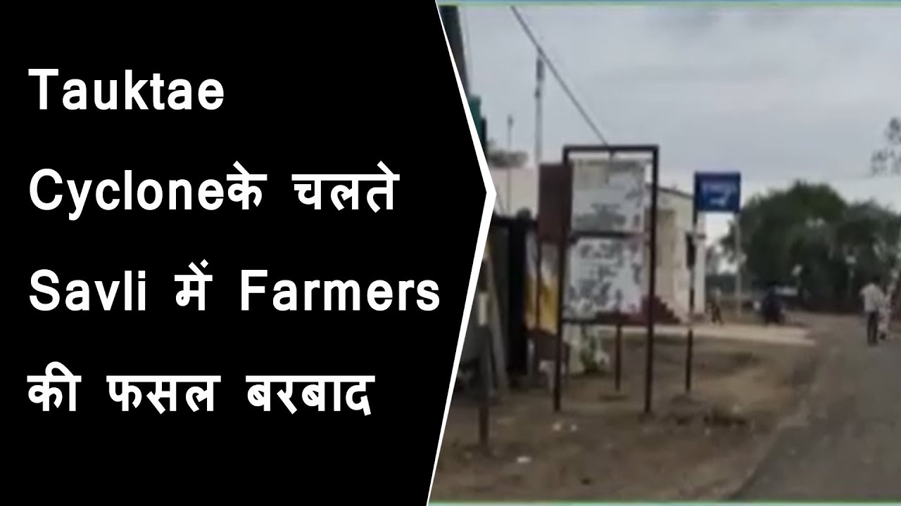 Tauktae Cycloneके चलते Savli में Farmers की फसल बरबाद | Tauktae cyclone damage in farm filed