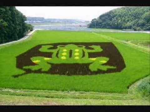 The Amazing Rice Paddy Art of Japan. | PORTABLE LIFE SKILLS DAILY ...
