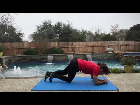Elbow plank with side to side hip roll