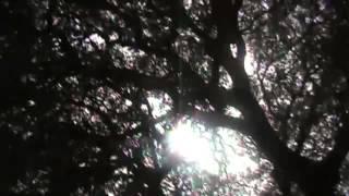 Love is Louder. (St. Christopher&#39;s Lullaby - Gary Jules)