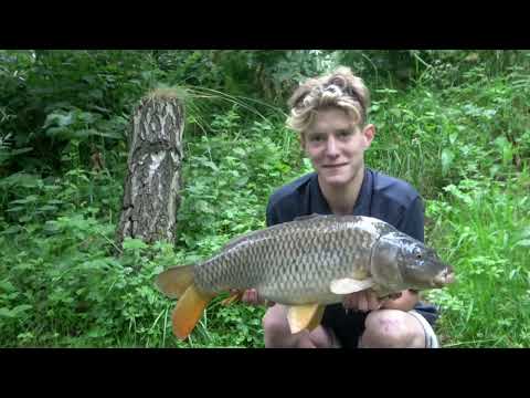 HB Total Media video.