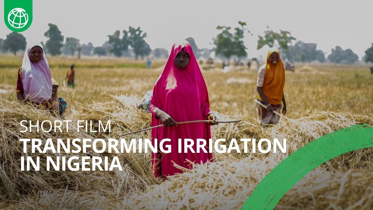 Transforming irrigation in Nigeria: Empowering farmers and boosting food security
