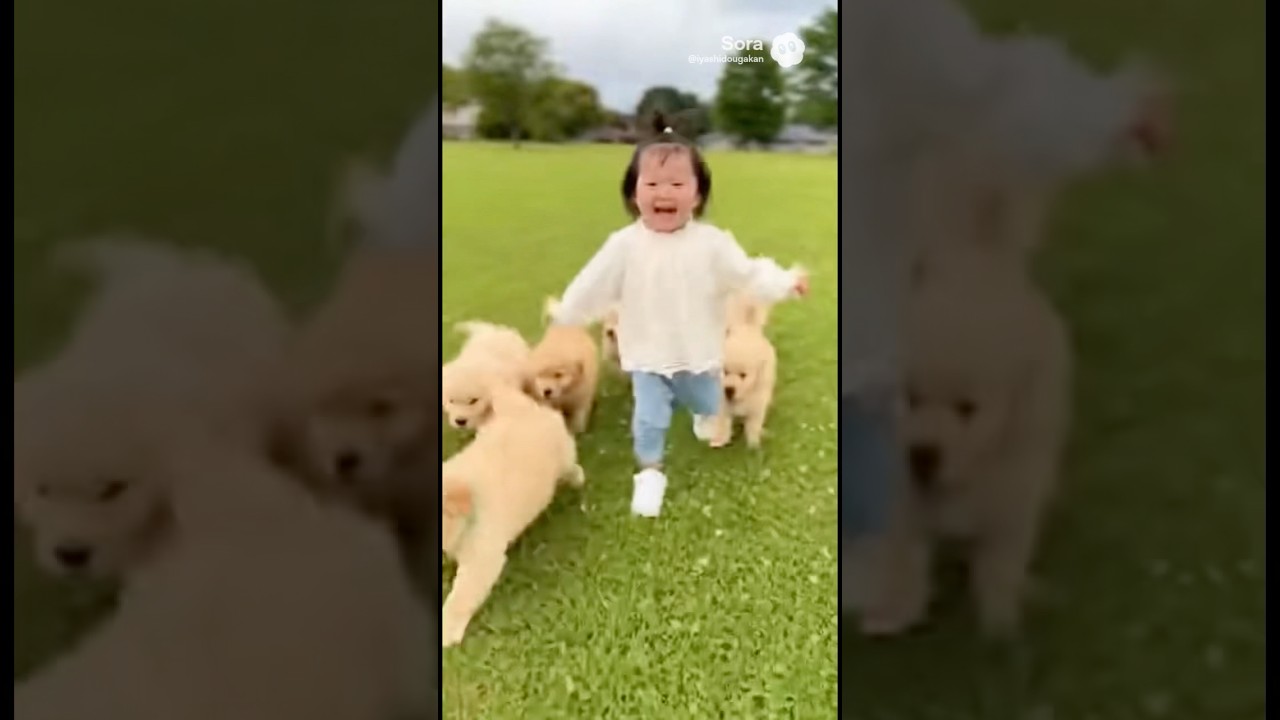 Too Many Puppies… Not Complaining 🥰（子犬がいっぱい！）