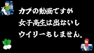 素人のカブ弄り