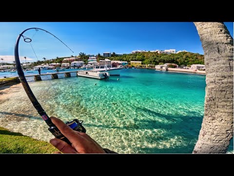 Action-Packed Fishing in Crystal Clear Waters 🌊