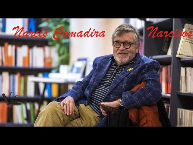 Vídeo relacionado con Narcís Comadira.: 29 (Versos)