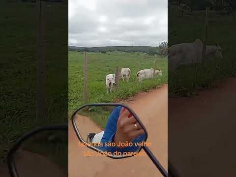 fazenda são João velho são João do Paraíso mg.