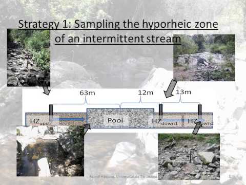 ESR7 Astrid Harjung - Introduction