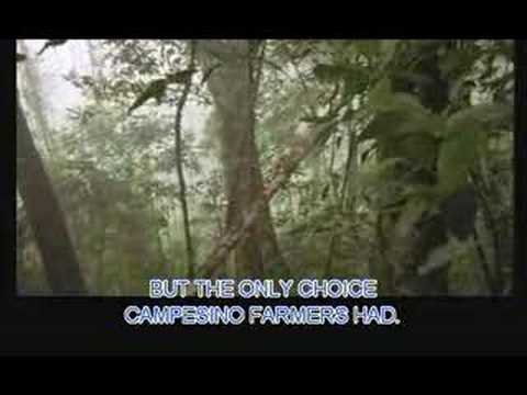 A Place Called Chiapas (1998) Trailer