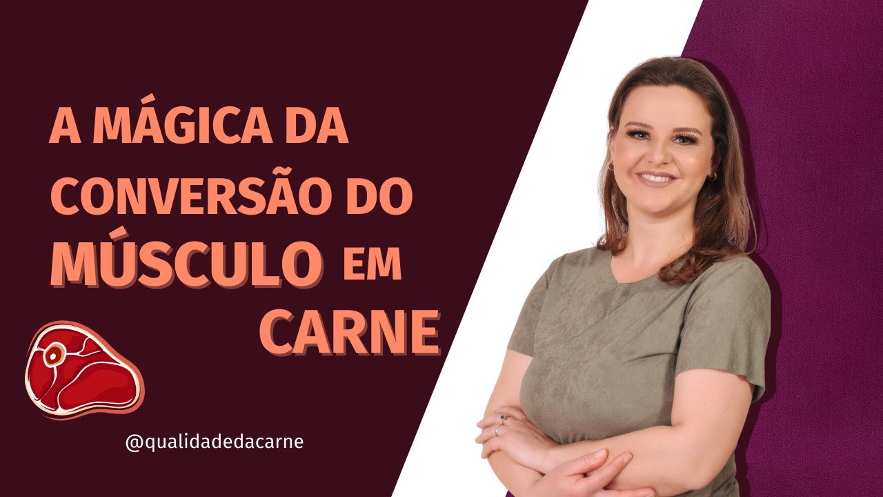 A mágica da conversão do Músculo em Carne