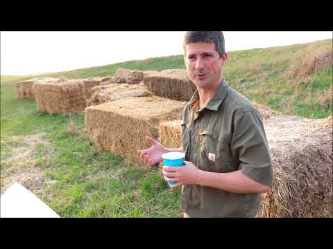 Straw Bale gardening - SUPERsized.  Ep. 1