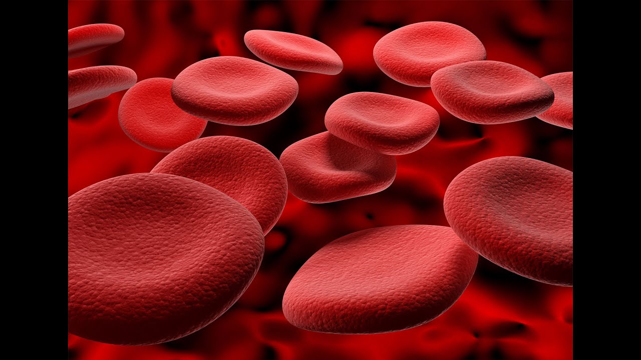 USMLE 1 Hematology 1st (intro & Anemia)