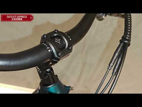 Fiido C11 電動助力單車 - 綠色 | 90KM助力續航 | 快拆式電池設計 | 人力/助力/純電 | 輔助力度調節 | 三個月保養【官方授權銷售商】 - 影片預覽