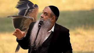 אבא מרים אותנו בשעת הסכנה! #הרב_רפאל_זר בסרטון מרגש! (הרב רפאל זר) - התמונה מוצגת ישירות מתוך אתר האינטרנט יוטיוב. זכויות היוצרים בתמונה שייכות ליוצרה. קישור קרדיט למקור התוכן נמצא בתוך דף הסרטון