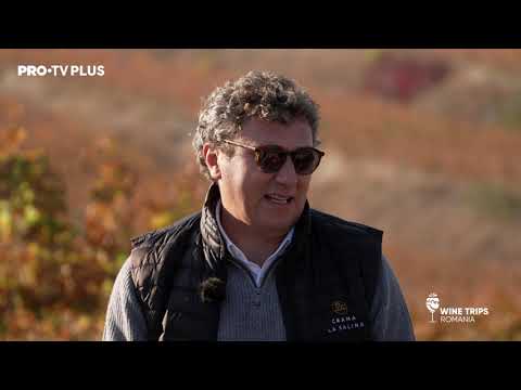 Crama La Salina, alături de Sergiu Nedelea și Augustin Viziru_Wine Trips Romania S2E2
