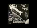 Ray Campi  - You Don't Rock 'N' Roll At All