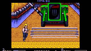 DOS Game: Double Dragon II: The Revenge (1989 Virgin Games, Inc)