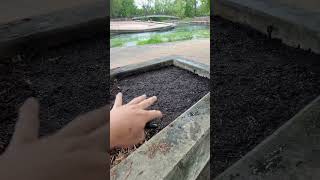 Garden in San Marcos swell park