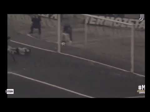 Conti Paolo Pali dal 1973 al 1986 - Roma,Sampdoria,Fiorentina