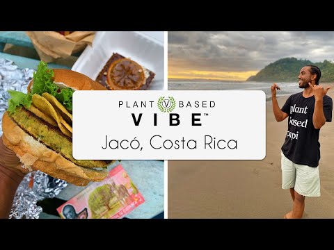 download lagu mp3 mp4 Food Delivery Jaco Costa Rica, download lagu Food Delivery Jaco Costa Rica gratis, unduh video klip Food Delivery Jaco Costa Rica