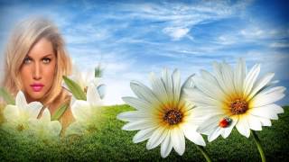 DIE PALDAUER singen ICH LIEBE DICH IMMER NOCH