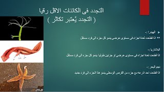 التكاثر اللاجنسى التجدد والتكاثر بالجراثيم احياء الصف الثالث الثانوى