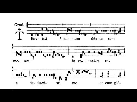 Dominica II in Passionis seu in Palmis (Palm Sunday) - Graduale (Tenuisti manum)