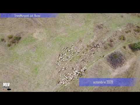 Hai hui cu drona - Transmurgesti