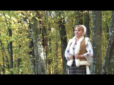 Sanda Argint-Am plecat de acasă de mititea  (Official Video) NOU