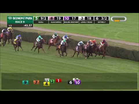 Lonely Road - 2018 - The Matron Stakes