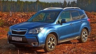 Subaru Forester на off road (2014). Горькая правда о подмосковном лесе