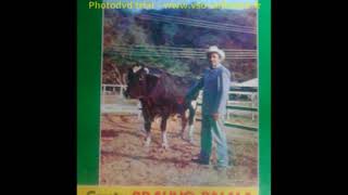 EL TORO NEGRO BRAULIO PALMA EL TORO NEGRO