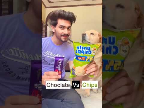 playing game with my dog🐶 #shorts #dog | Anant rastogi