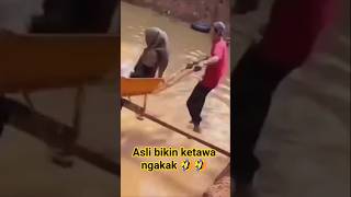 Download lagu video lucu jatuh keempang bikin ketawa ngakak/funny videos comedy #shorts #videolucu #lucu #funny mp3