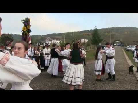 Nunta Darius și Bianca - Mureș 29.09.2019