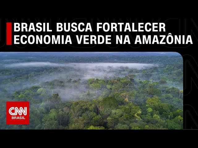 Brasil busca fortalecer economia verde na Amazônia | CNN PRIMETIME