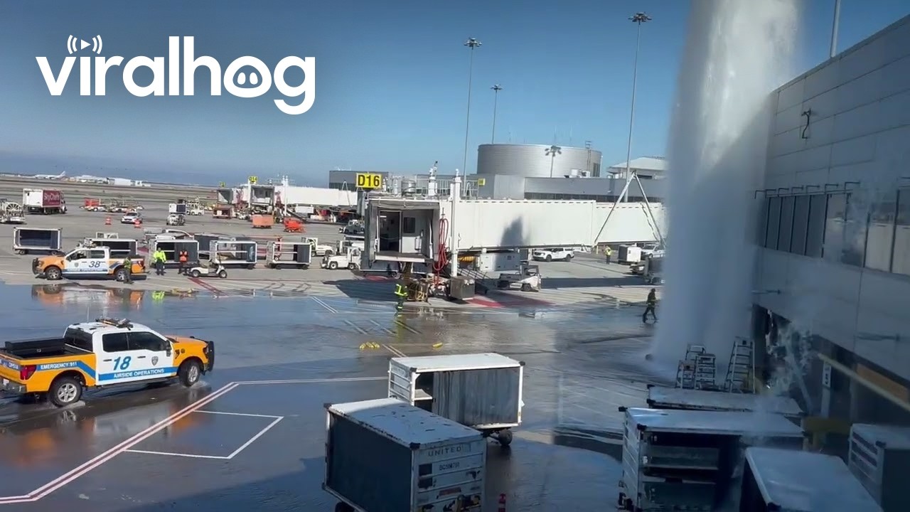 Fire Hydrant Collision Creates Massive Geyser at Airport Gate || ViralHog